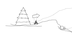 Forest Run
