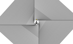 Lines