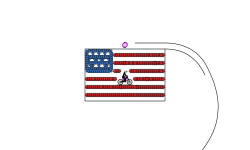 'murica flag