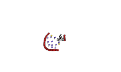 speed runs 11