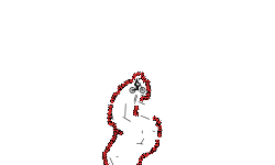 do not move mega now incomplet