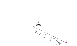 who is stig??
