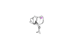 A very dumb track