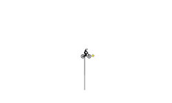 Some kind of trial element