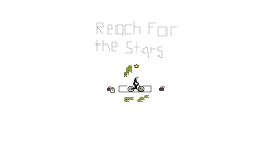 Reach For The Stars
