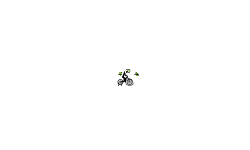 DA REALEST AUTO LEVEL EVER
