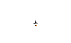Penguin Head