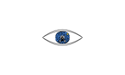 Eye Preview