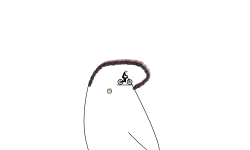 Noob test