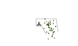 THE LONG DROP