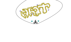 zero g what
