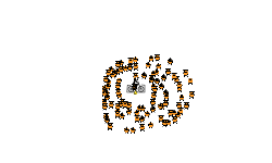 bug???
