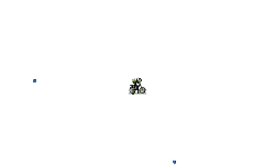 fun random