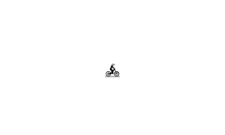 auto both bikes