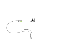 Trust the Lines