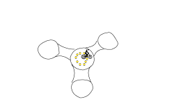 The Fidget Spinner