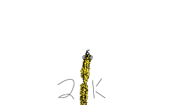 2,000 Stars