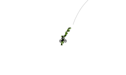 Needle It
