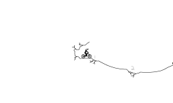 50 Jumps