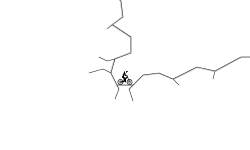 Mt. Rider
