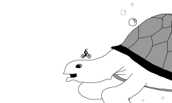A Turtle For You!