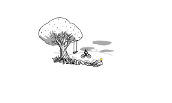 Solace