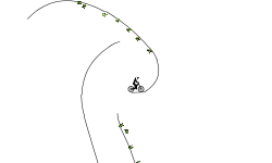 3 Ways to Finish The Race