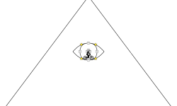 Illuminate