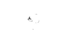 New Tricks