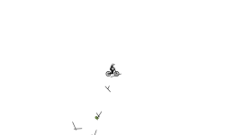 BMX Auto # 1