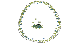 The Circle