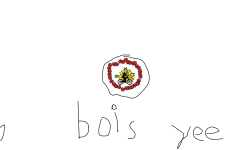 bbboi