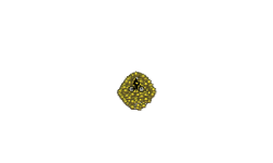 Laggy lemon