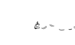 Skimming Stones