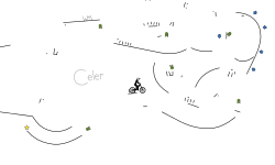 Celer