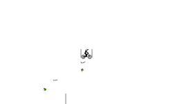 Free Fall