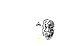 Lion Sketch