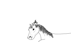 Wild Hores