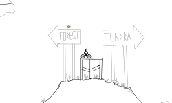 forest... or tundra