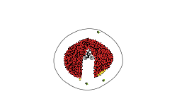 Bomb Circle