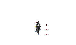 Short Thingy