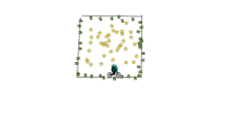 Maxy pad