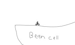 cells