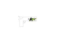 pistol