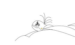whale ate a star