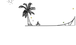 Palm Tree