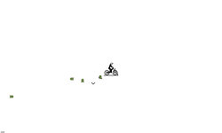 slo-mo auto