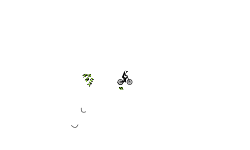 short auto by me