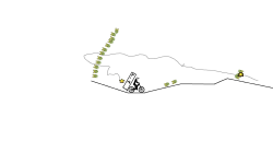 the trike
