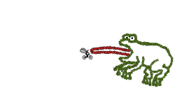 The frog 🐸🐸